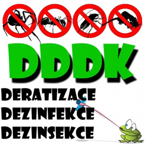 Martin Kynkal - deratizace, dezinfekce, dezinsekce, úklid, ochrana, ošetření, likvidace, stavební práce Ústí nad Labem