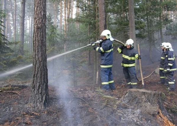 Požár lesního porostu na Havraním vrchu v Děčíně - Bělé