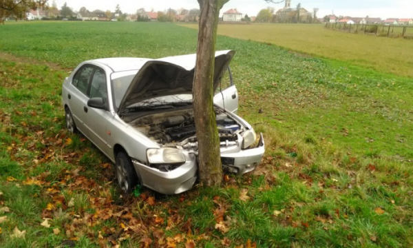 U Krabčic na Litoměřicku narazila řidička osobním vozem do stromu