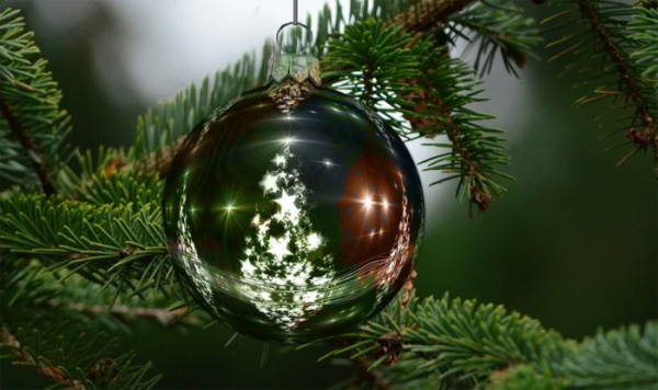 Buď v práci, nebo pohotovost doma; takové budou vánoční svátky a Nový rok pro stovky energetiků na severu Čech