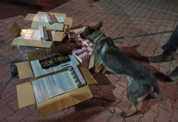 Padesát tisíc kusů nezdaněných cigaret odhalili ústečtí celníci při silniční kontrole