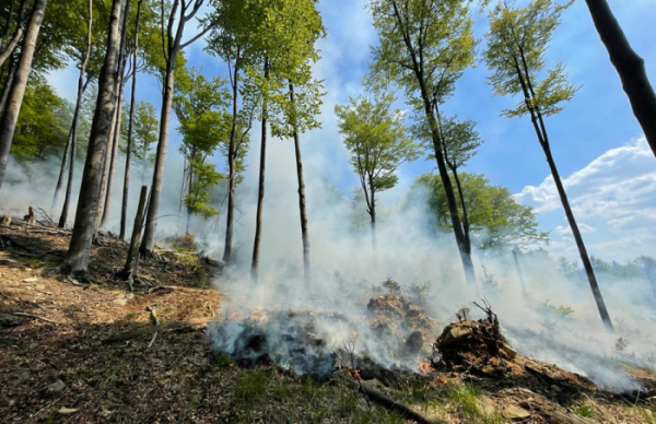 Sedm hasičských jednotek vyjelo k požáru lesa u Jedlové na Děčínsku