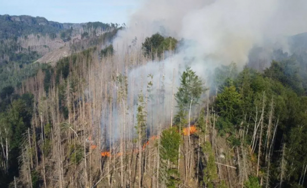 V Národním parku České Švýcarsko vzplál les, byl vyhlášen zvláštní stupeň požárního poplachu