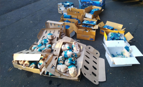 Dodávce převážející 370 kg mražených potravin chybělo funkční chladící zařízení