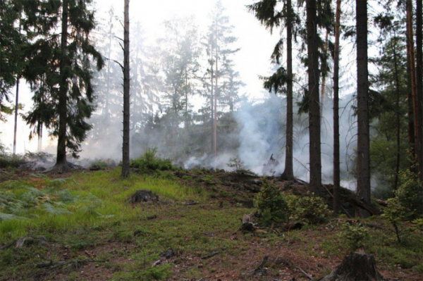 MŽP: Vědci zmapovali požár v Českém Švýcarsku, majitelé lesů se z něj musí ponaučit