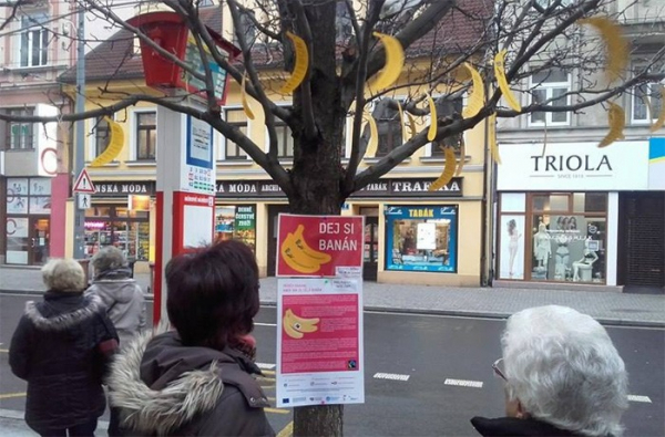 Banánovník na Mírovém náměstí upozornil na příběh banánu